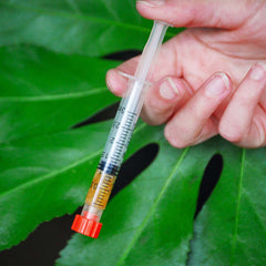 2000mg 86% CBD Pure Extract & Syringe (2ml)