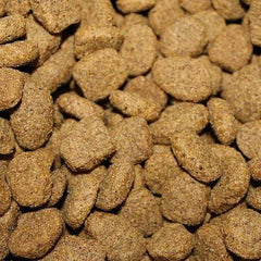 Buddy CBD Bites (250mg)